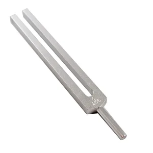 Tuning Fork