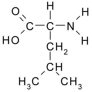 L-Leucine
