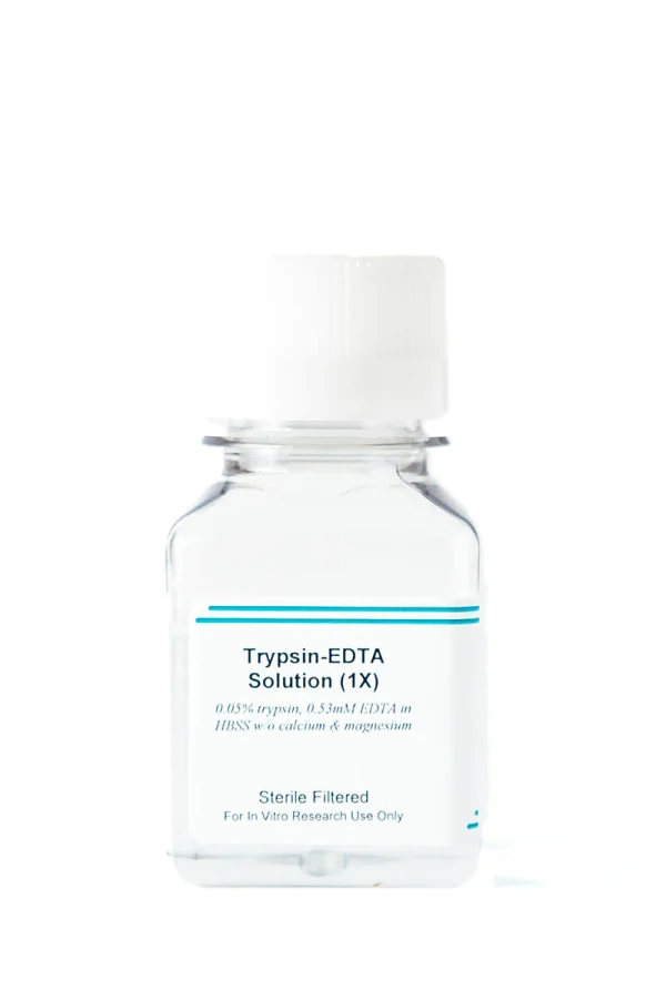 Trypsin