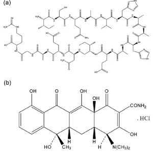 Albumin From Egg