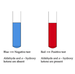 Fehling Solution B 500ml - Image 2