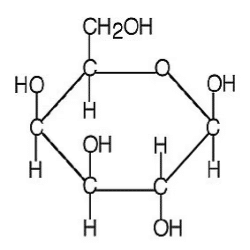 Galactose 500g