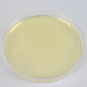 Potato Dextrose Agar